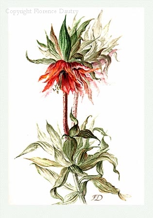VASE WITH THE ANEMONES