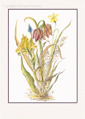 Gentian